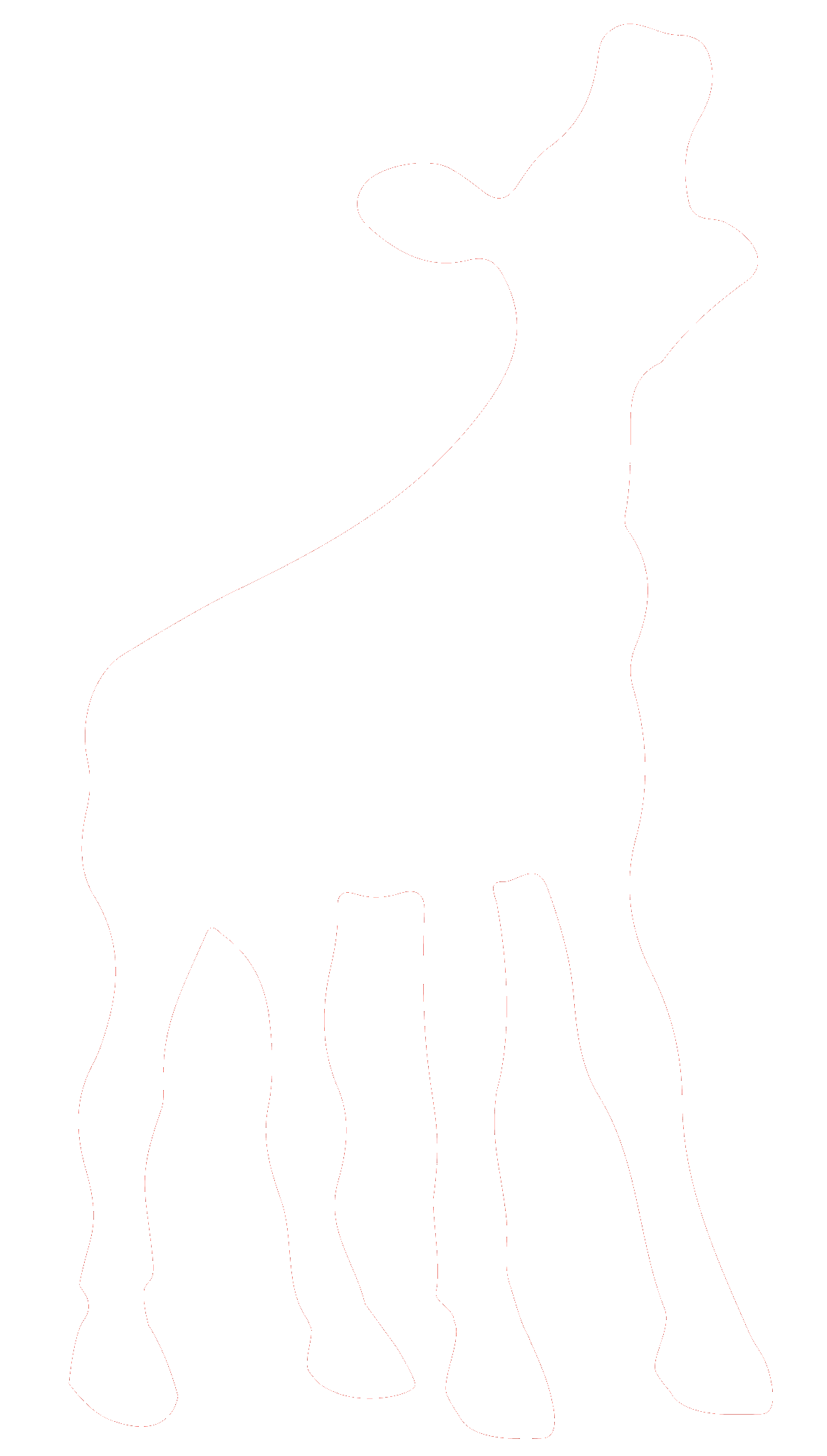 NFF